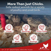 RentACoop 10x10” Adjustable Heating Plate with Bonus Foldable Anti-Roost Cone for up to 15 Chicks