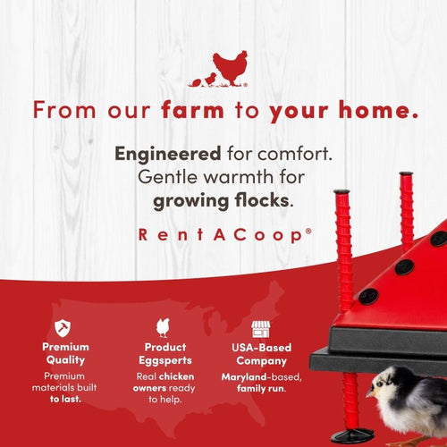RentACoop 10x10” Adjustable Heating Plate with Bonus Foldable Anti-Roost Cone for up to 15 Chicks