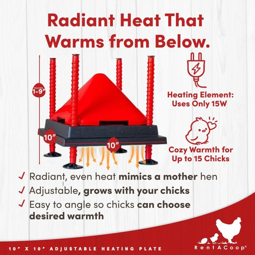 RentACoop 10x10” Heating Plate with Hard Anti-Roost Cone Set and Removable Comfort Feathers – Chick Brooder Heat Plate Warms Up to 15 Chicks