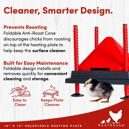 RentACoop 10x10” Heating Plate with Hard Anti-Roost Cone Set and Removable Comfort Feathers – Chick Brooder Heat Plate Warms Up to 15 Chicks