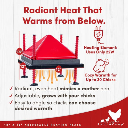 RentACoop 12x12” Adjustable Heating Plate with Hard Anti-Roost Cone Set and Removable Comfort Feathers - Chick Brooder Heat Plate Warms Up to 20 Chicks