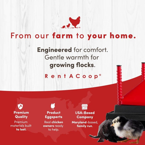 RentACoop 12x12” Adjustable Heating Plate with Hard Anti-Roost Cone Set and Removable Comfort Feathers - Chick Brooder Heat Plate Warms Up to 20 Chicks