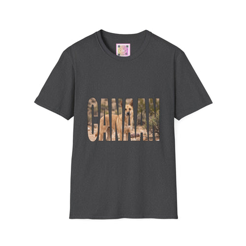 Canaan Dog Tee Shirt
