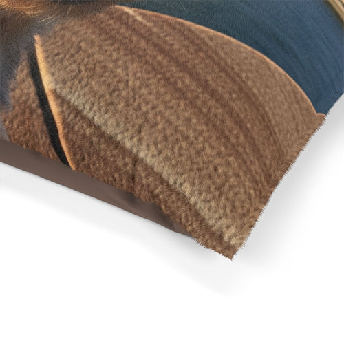 Australian Silky Terrier Pet Bed
