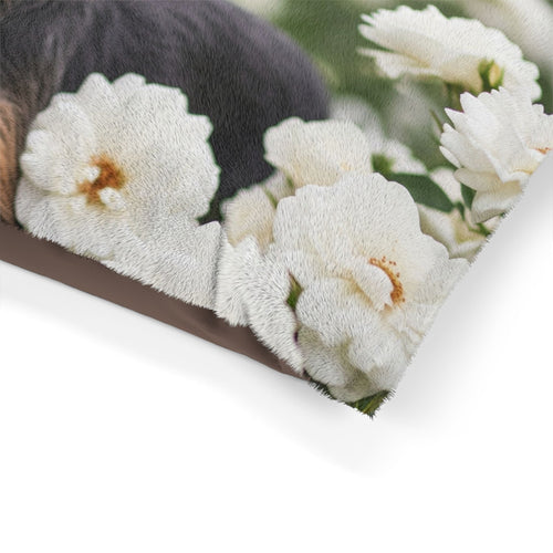 Pet Bed – Plush Dog Bed, 3 Size Options