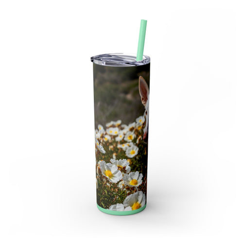 Skinny Tumbler with Straw – 20 oz Stainless Steel Cup