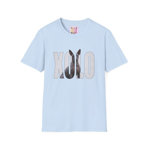 Xoloitzcuintli (Xolo) Tee Shirt