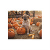 Autumn Pumpkin Patch Blanket