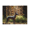 Xoloitzcuintli Blanket