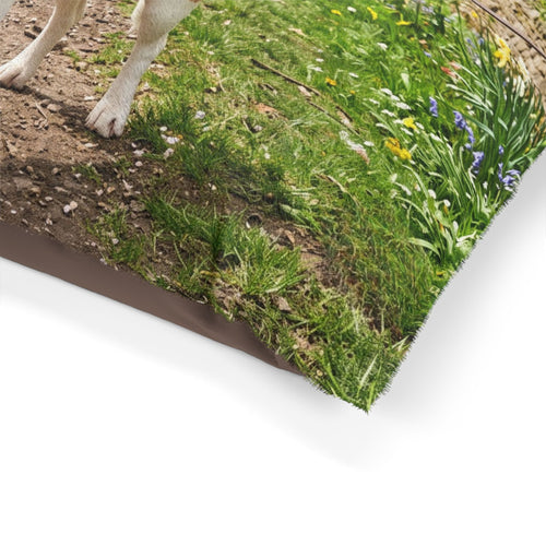 Beagle Pet Bed