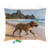 Dogue Brasileiro Pet Bed