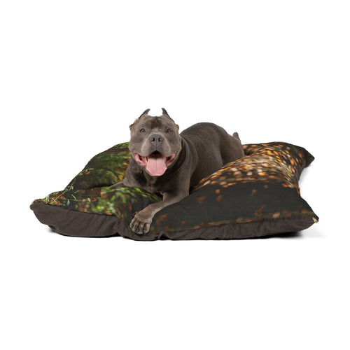 Xoloitzcuintli Pet Bed