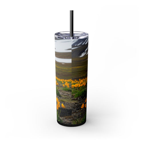 Skinny Tumbler with Straw – 20 oz Stainless Steel Cup