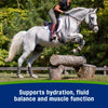 Farnam Apple Elite Electrolyte Powder for Horses Hydration Support Apple Flavor 5lb.