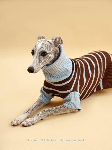 Bluebell Stripes Sweater