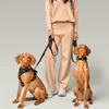 The NoMad Adjustable Luxe Harness - Rockstar