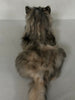 Plush American Tabby Cat Longhair Order to Make