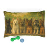 Pet Bed – Plush Dog Bed, 3 Size Options
