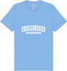 Undiagnosed Adult Bella Canvas Shirt