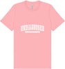 Undiagnosed Adult Bella Canvas Shirt