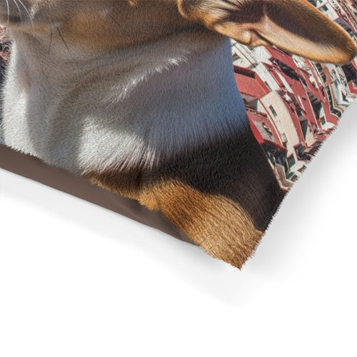 Chihuahua Pet Bed