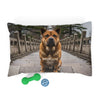 Chongqing Dog Pet Bed