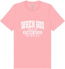 God Said This'll Be Fun Adult Bella Canvas Shirt