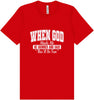 God Said This'll Be Fun Adult Bella Canvas Shirt