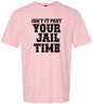 Past Your Jail Time Adult Gildan Soft Shirt