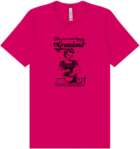 Haven't Finished Your Venezuela Yet Adult Bella Canvas Shirt