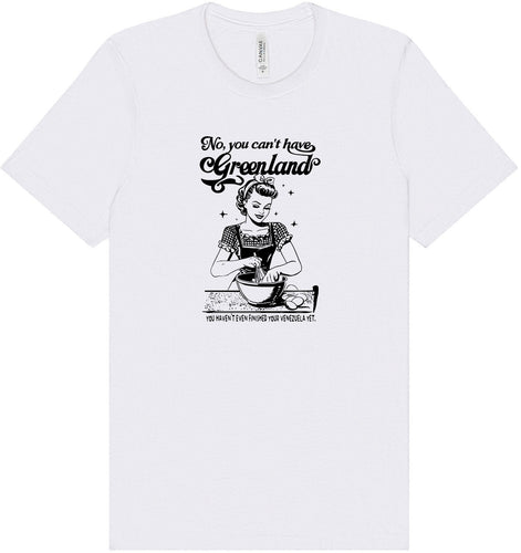 Haven't Finished Your Venezuela Yet Adult Bella Canvas Shirt