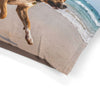 Dogue Brasileiro Pet Bed
