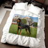 Black and Tan Coonhound Blanket