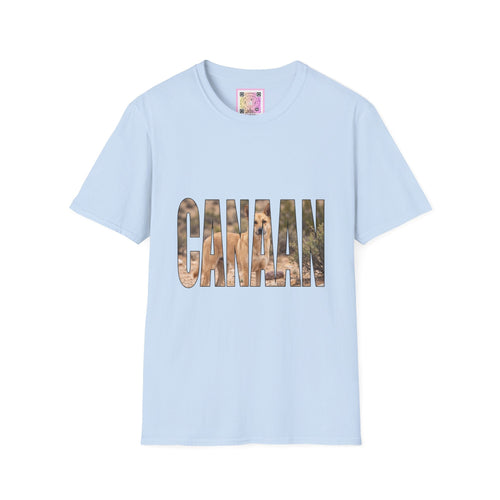 Canaan Dog Tee Shirt