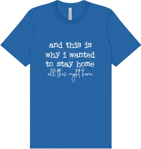 This is Why I Wanted to Stay Home Adult Bella Canvas Shirt