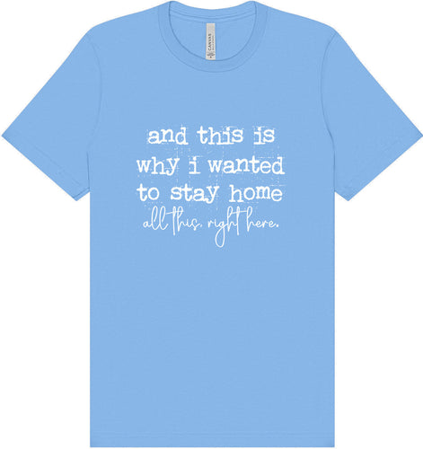 This is Why I Wanted to Stay Home Adult Bella Canvas Shirt
