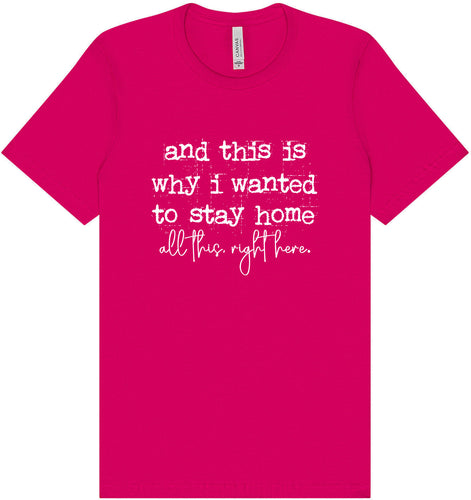 This is Why I Wanted to Stay Home Adult Bella Canvas Shirt