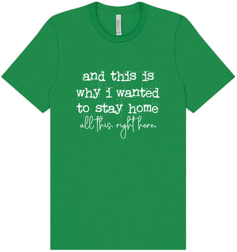 This is Why I Wanted to Stay Home Adult Bella Canvas Shirt