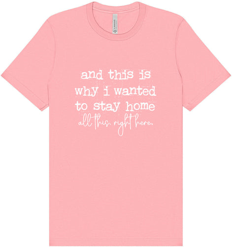 This is Why I Wanted to Stay Home Adult Bella Canvas Shirt
