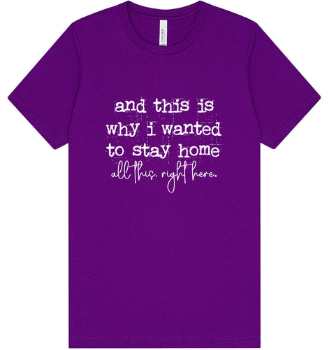 This is Why I Wanted to Stay Home Adult Bella Canvas Shirt