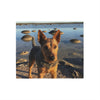 Australian Terrier Blanket