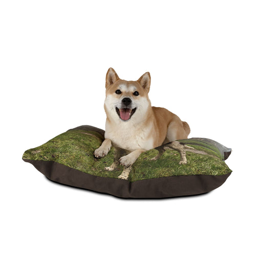 English Water Spaniel Pet Bed