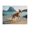 Ibizan Hound Blanket