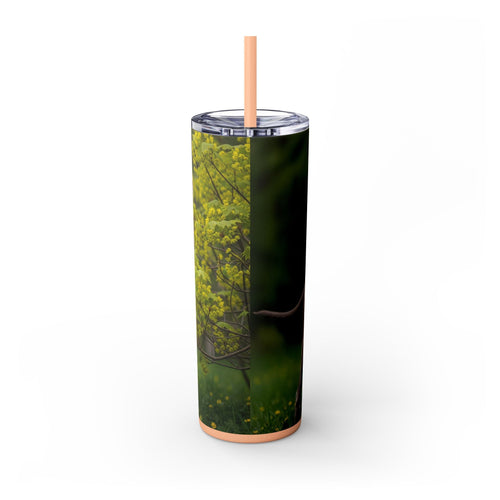 Skinny Tumbler with Straw – 20 oz Stainless Steel Cup