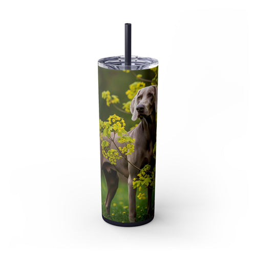 Skinny Tumbler with Straw – 20 oz Stainless Steel Cup