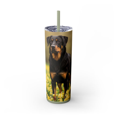 Skinny Tumbler with Straw – 20 oz Stainless Steel Cup