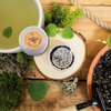 Lemon Balm Seeds