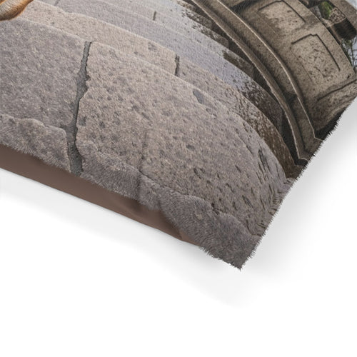 Chongqing Dog Pet Bed
