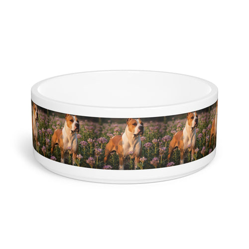 Ceramic Pet Bowl – 16 oz Dog Feeding Bowl