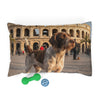 Pet Bed